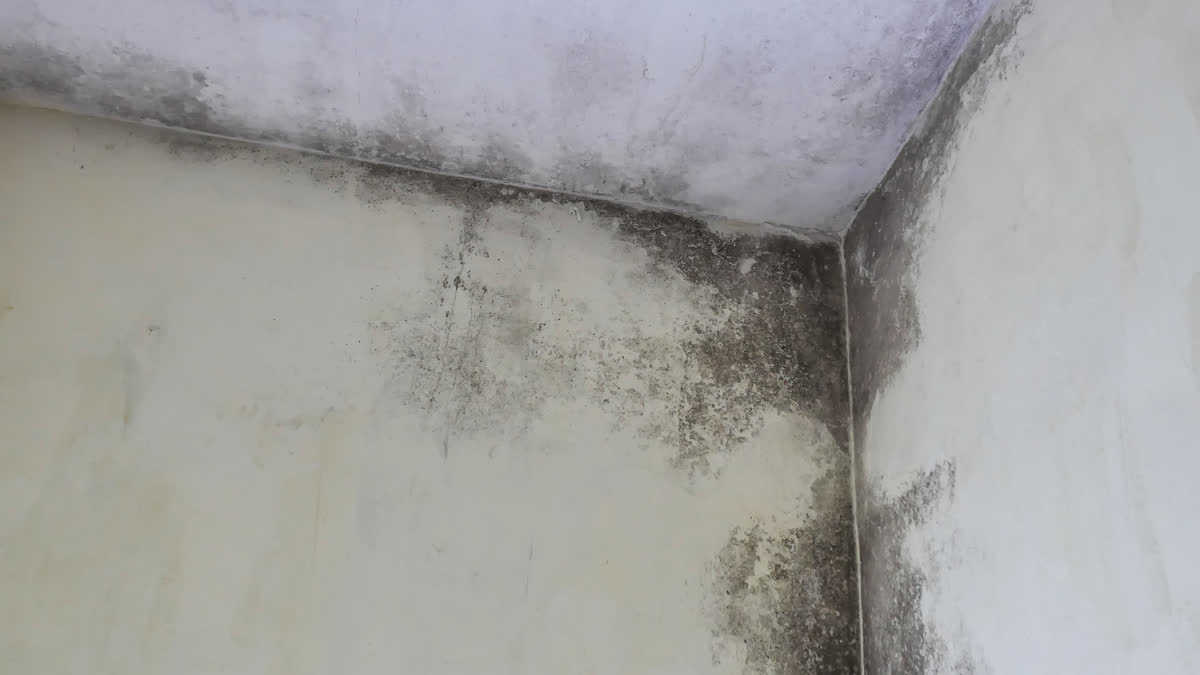 Relativní vlhkost v ložnici nad šedesát procent přes zimu pustí plíseň do rohů